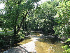 My beloved Rock Creek Park, which I choose to believe CAN be a safe place for women runners.