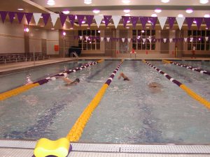 Swimmers in Pool Swimmers in Pool