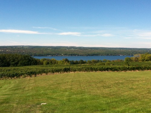 View of Seneca Lake from Standing Stone Vineyards.