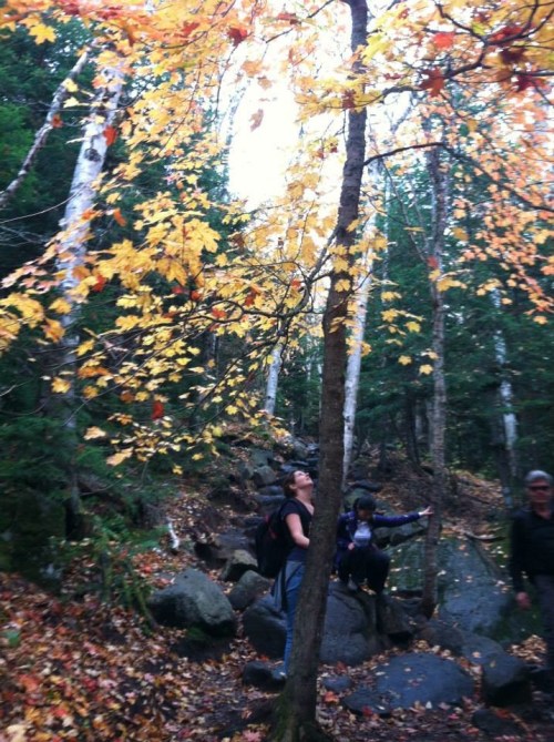 Leaf-peeping on the hike up Cascade Mountain.