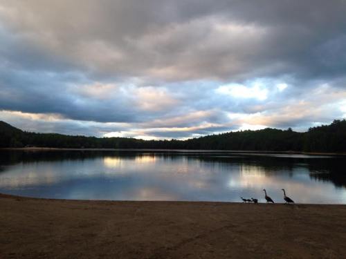 Moreau Lake last Thursday evening. 
